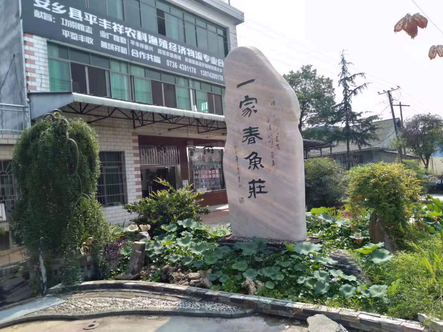 公司4